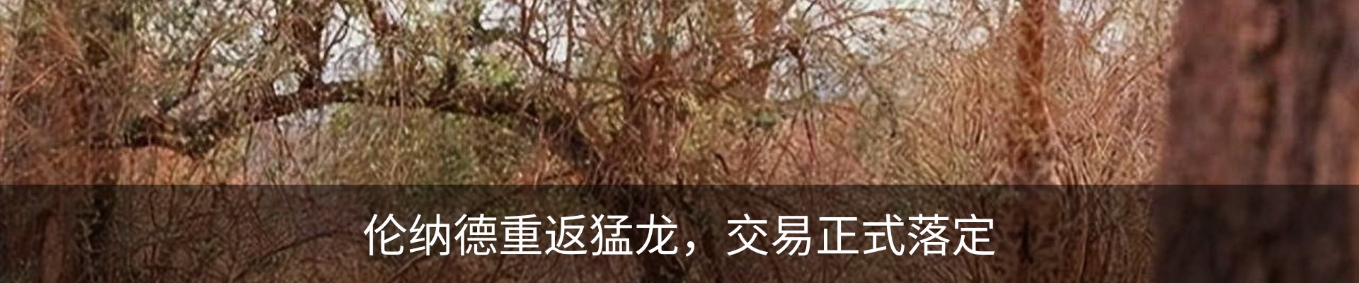 行业资讯